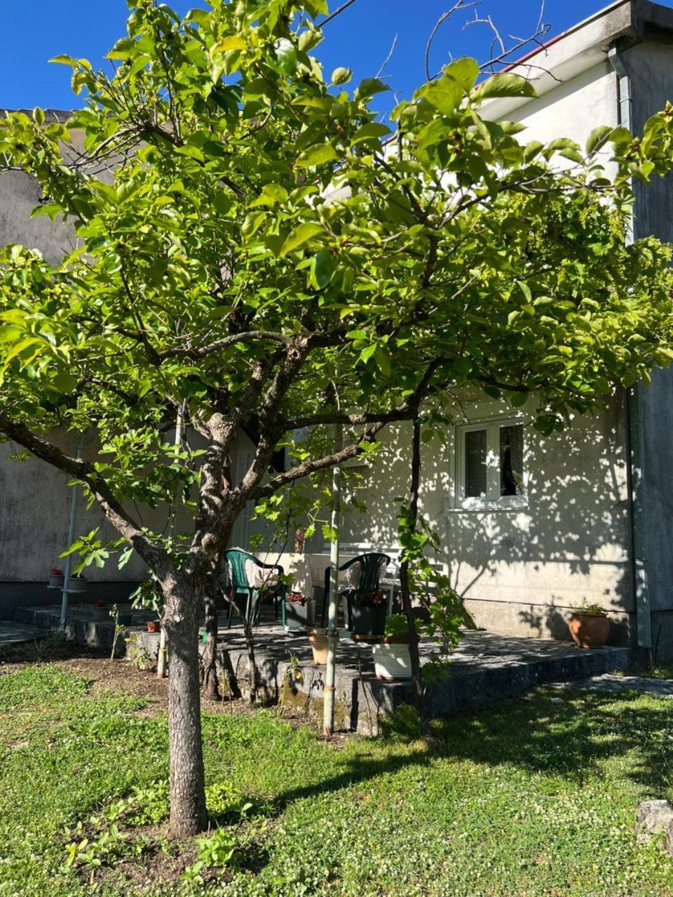 Sailor'S Rustic House Villa Virpazar Exterior photo
