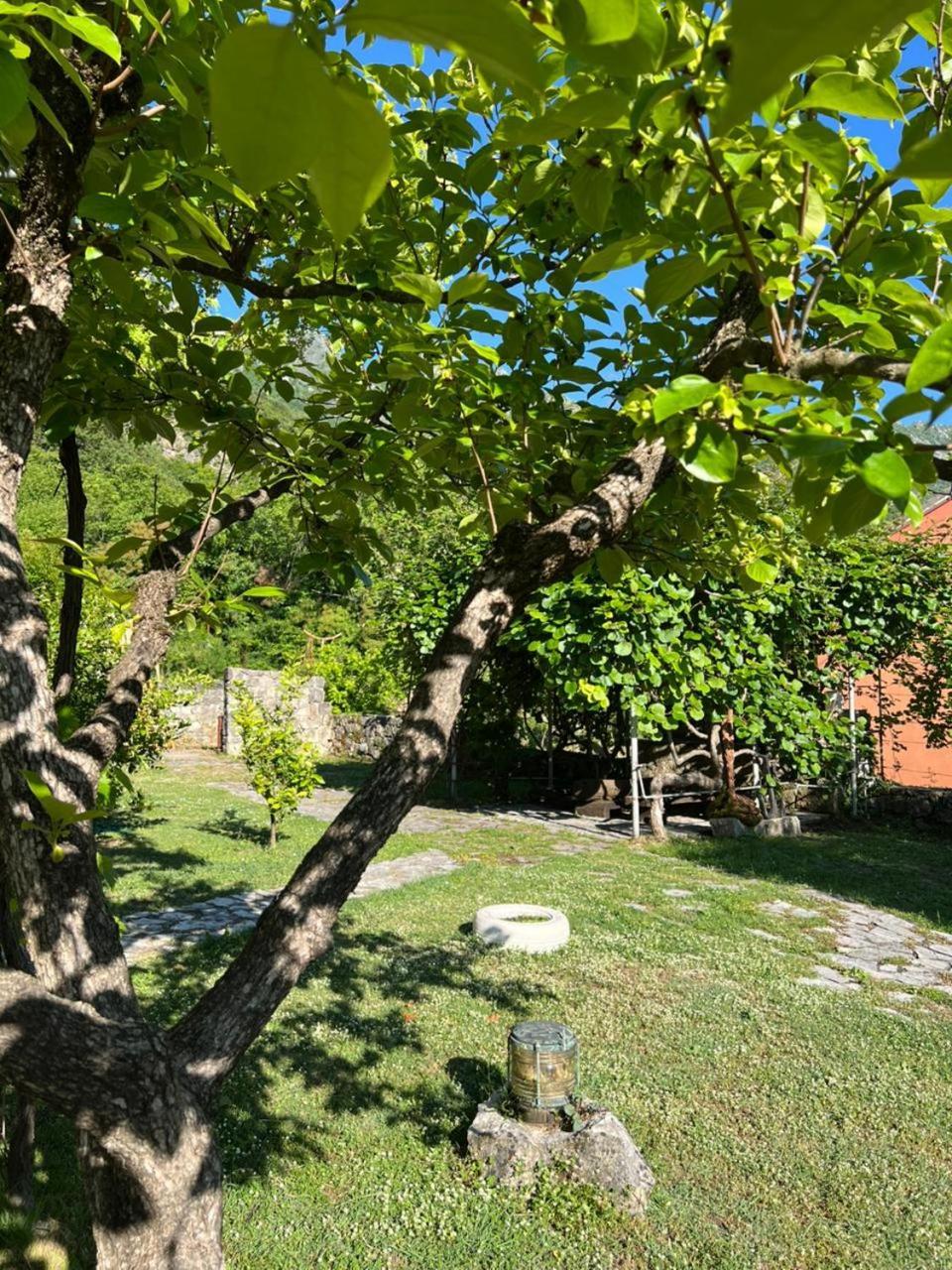 Sailor'S Rustic House Villa Virpazar Exterior photo